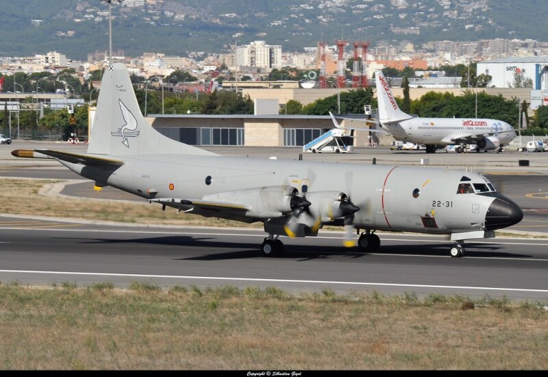 Photo of 22-31 - Spanish Air Force Lockheed P-3 Orion at PLM on AeroXplorer Aviation Database
