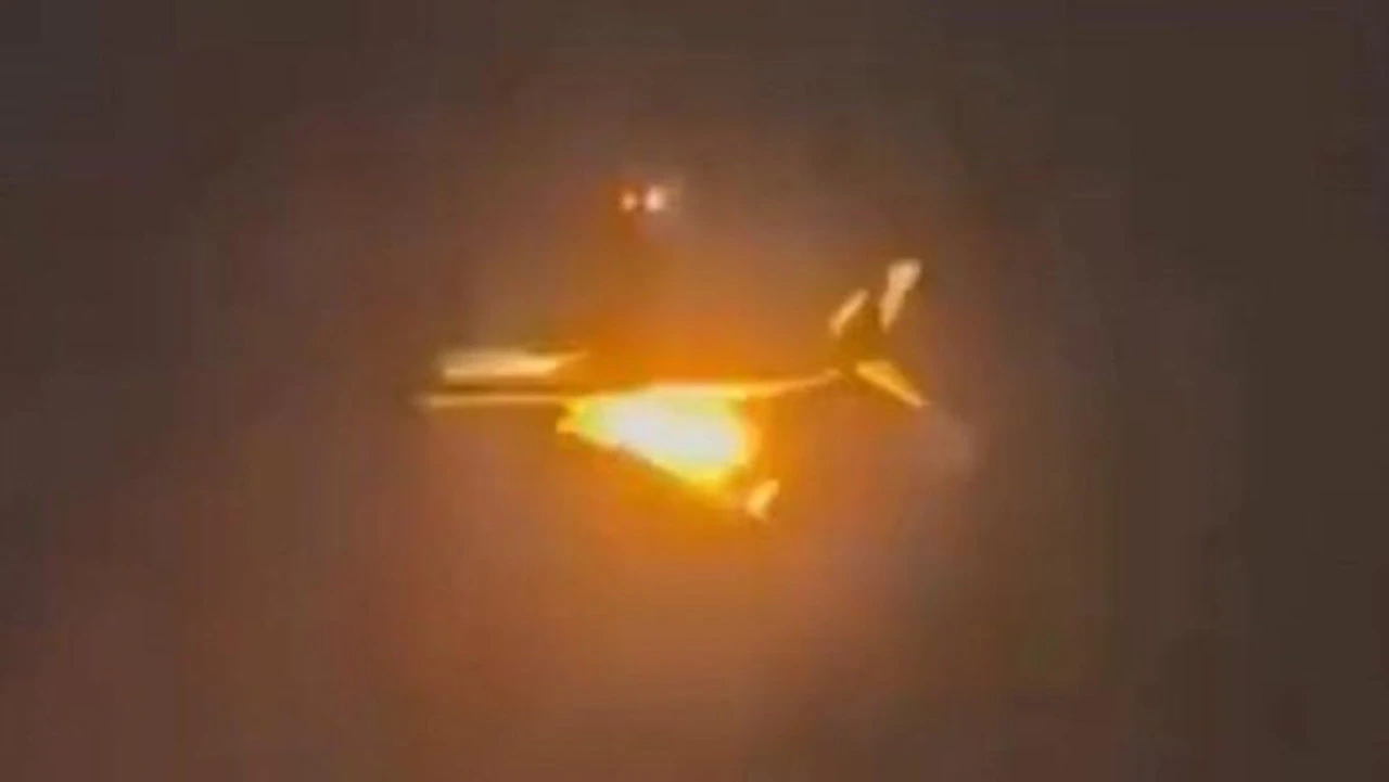 Possible Bird Strike Causes Passenger Plane To Burst into Flames Mid ...